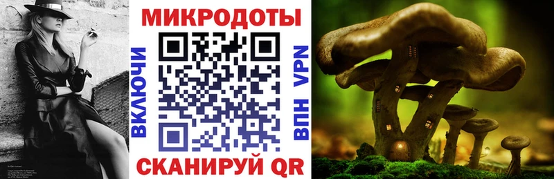 Галлюциногенные грибы ЛСД kraken ссылки Полесск